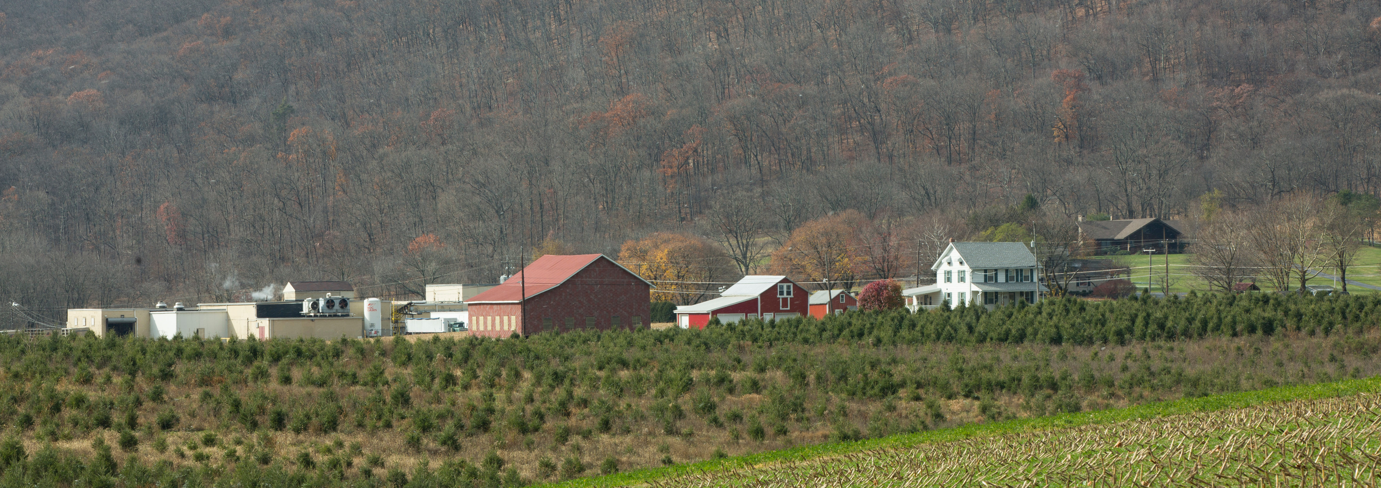 Koch's Turkey Farm, Tamaqua, PA 62.4 miles Kimberton Whole Foods