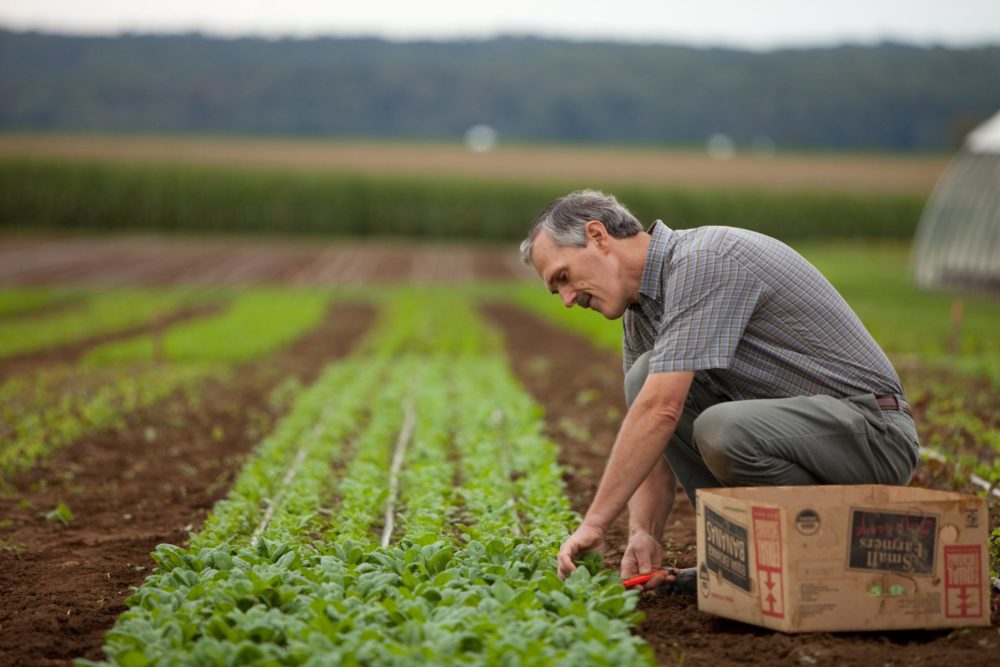 Paradise Organics, Paradise, PA: 18 Miles