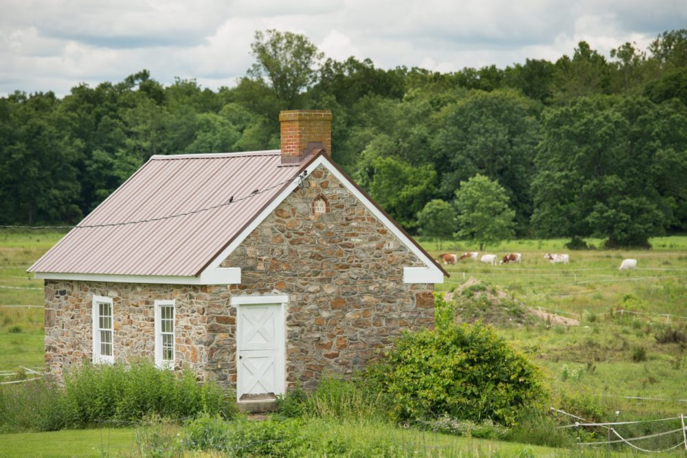 Wholesome Dairy Farms, Yellow House, PA – 20.6 Miles
