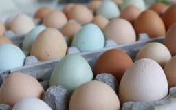 local eggs kimberton whole food