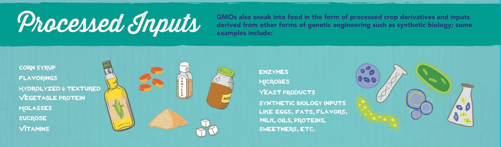 GMO Products Kimberton Whole Foods