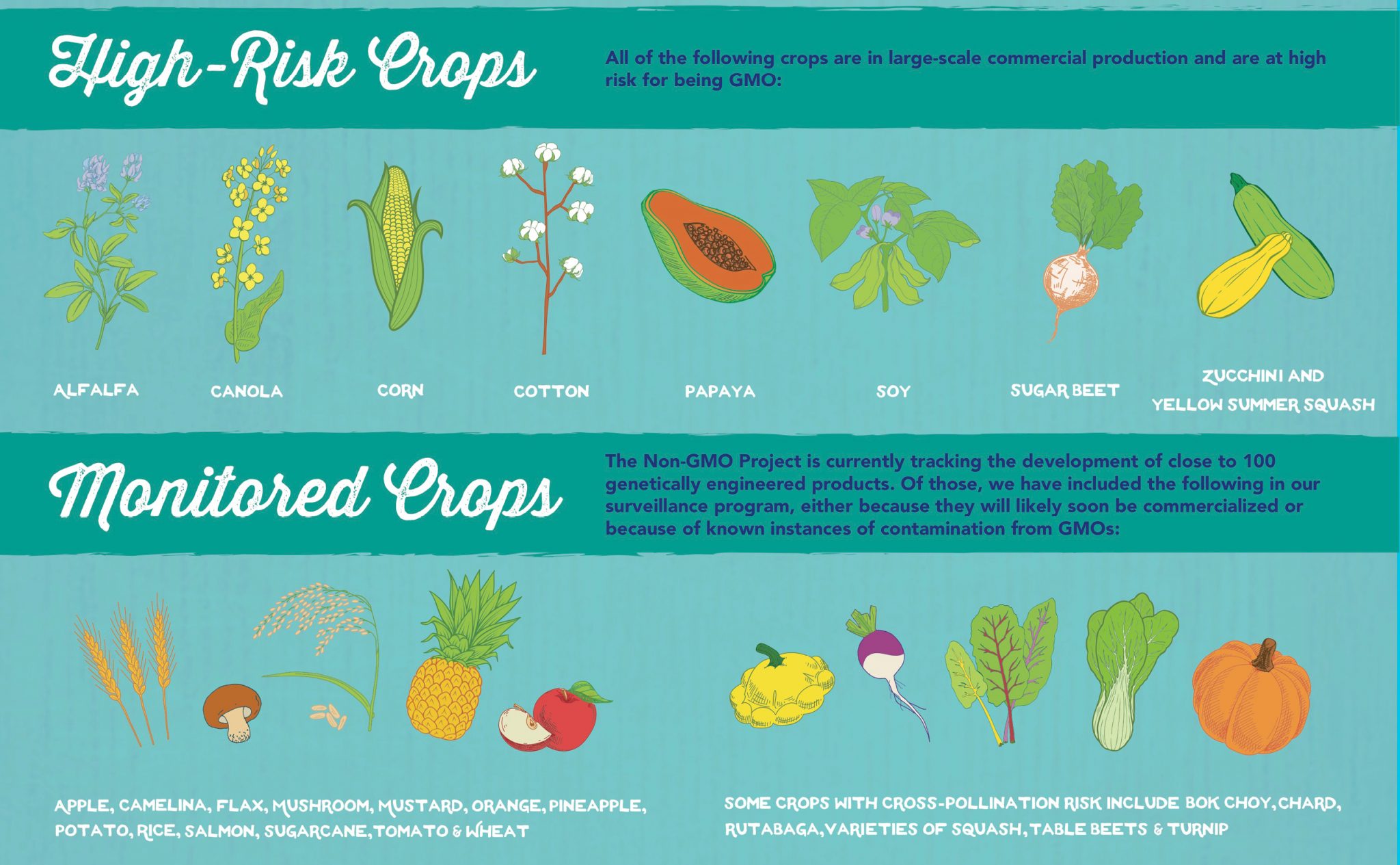 GMO Produce Kimberton Whole Foods