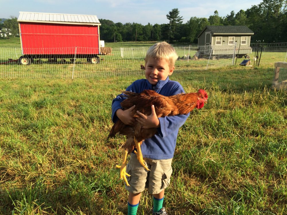 Hershberger Heritage Farm, Sellersville, PA 31.2 miles