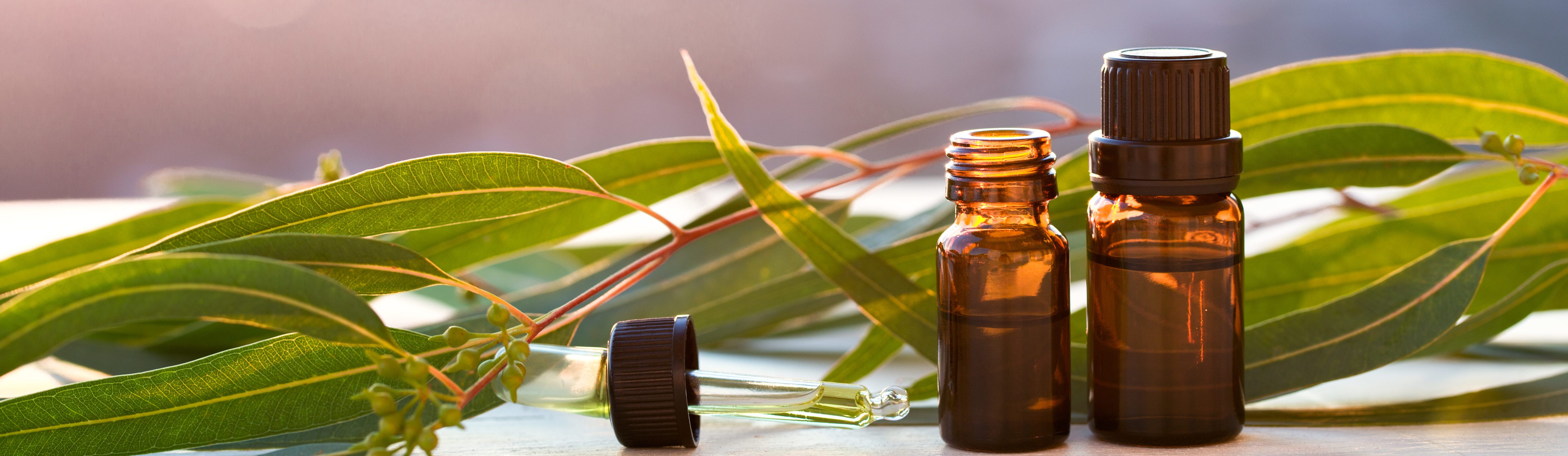 Eucalyptus aromatherapy essential oils in bottles