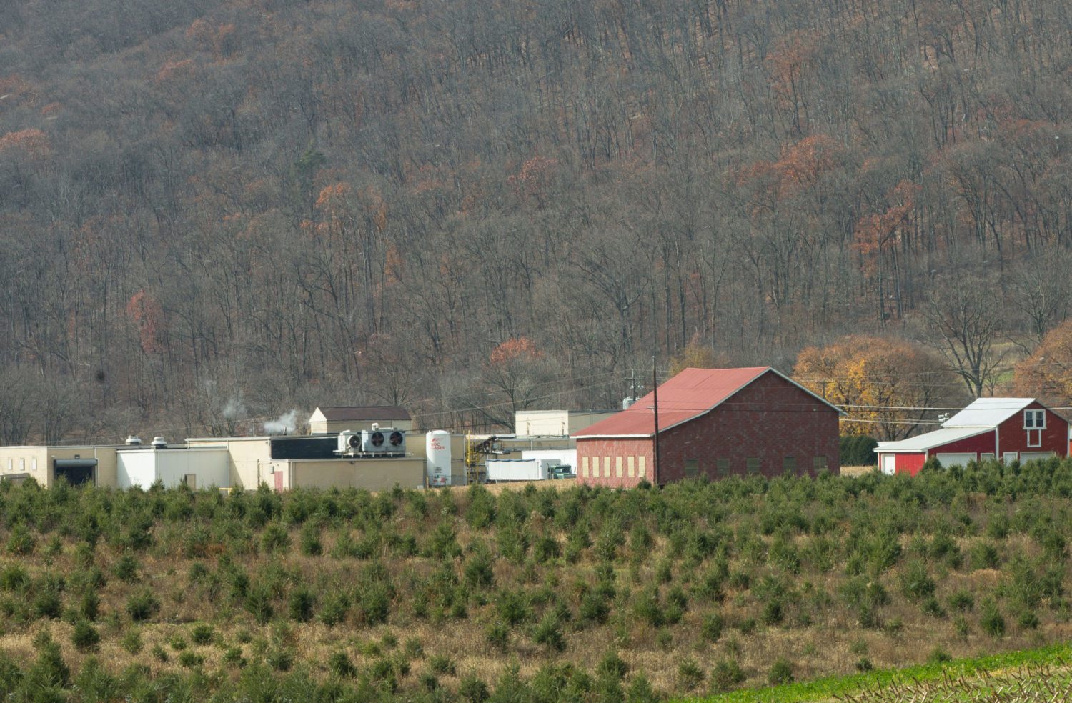 Koch’s Turkey Farm, Tamaqua, PA: 62.4 miles