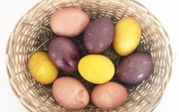 Easter Egg Natural Dye DIY at Kimberton Whole Foods