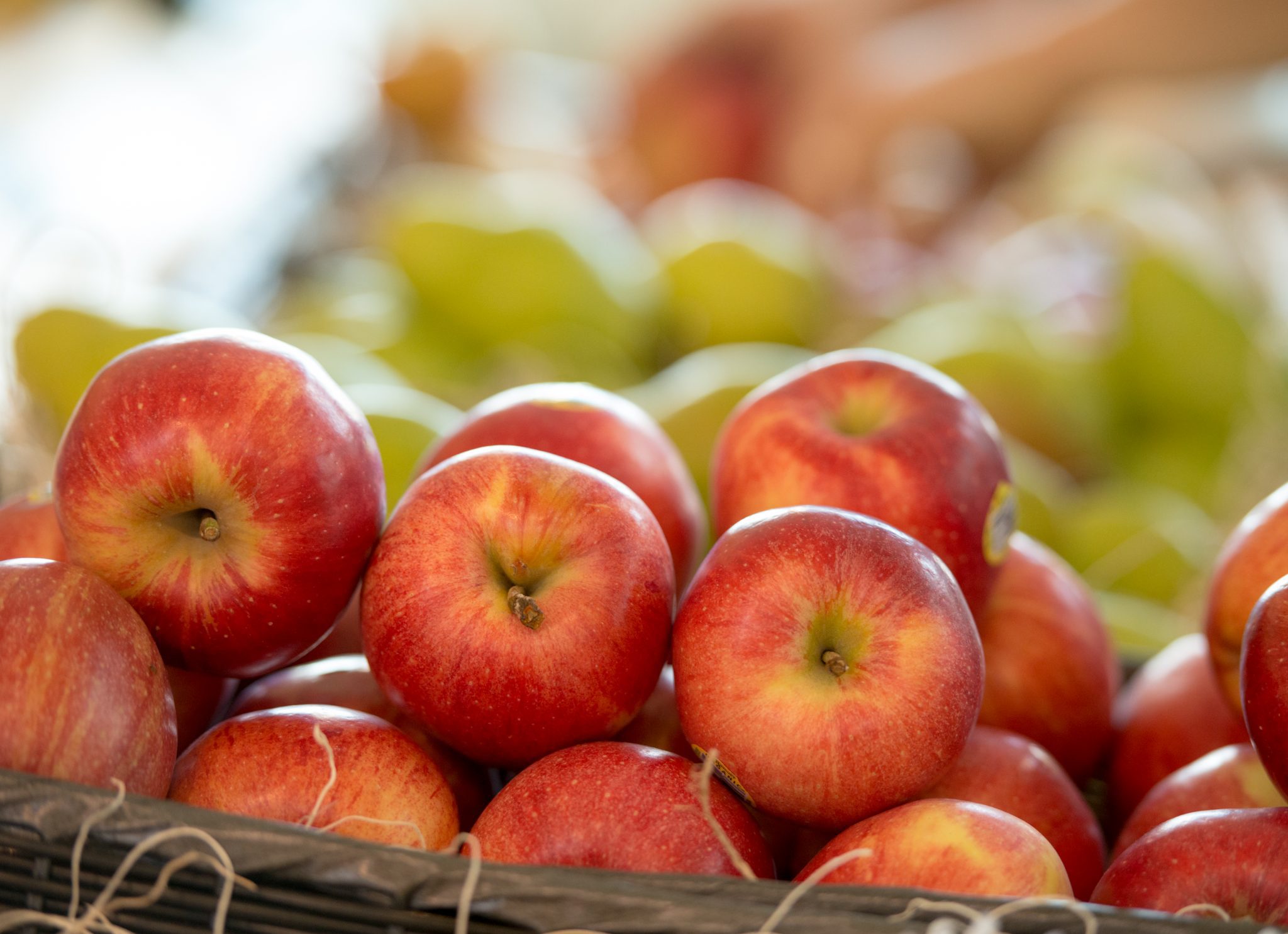 Understanding GMOs Kimberton Whole Foods