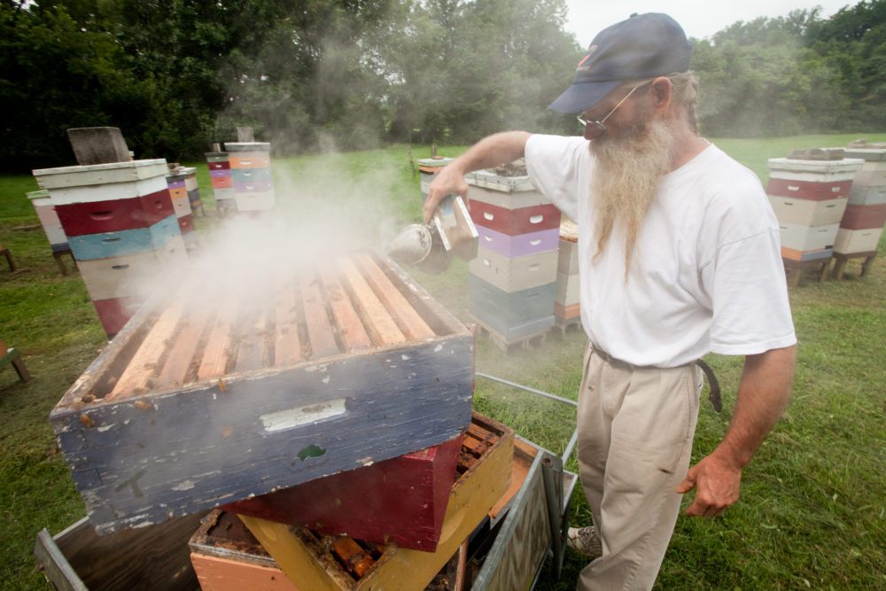 Swarmbustin’ Honey, West Grove, PA – 10 miles