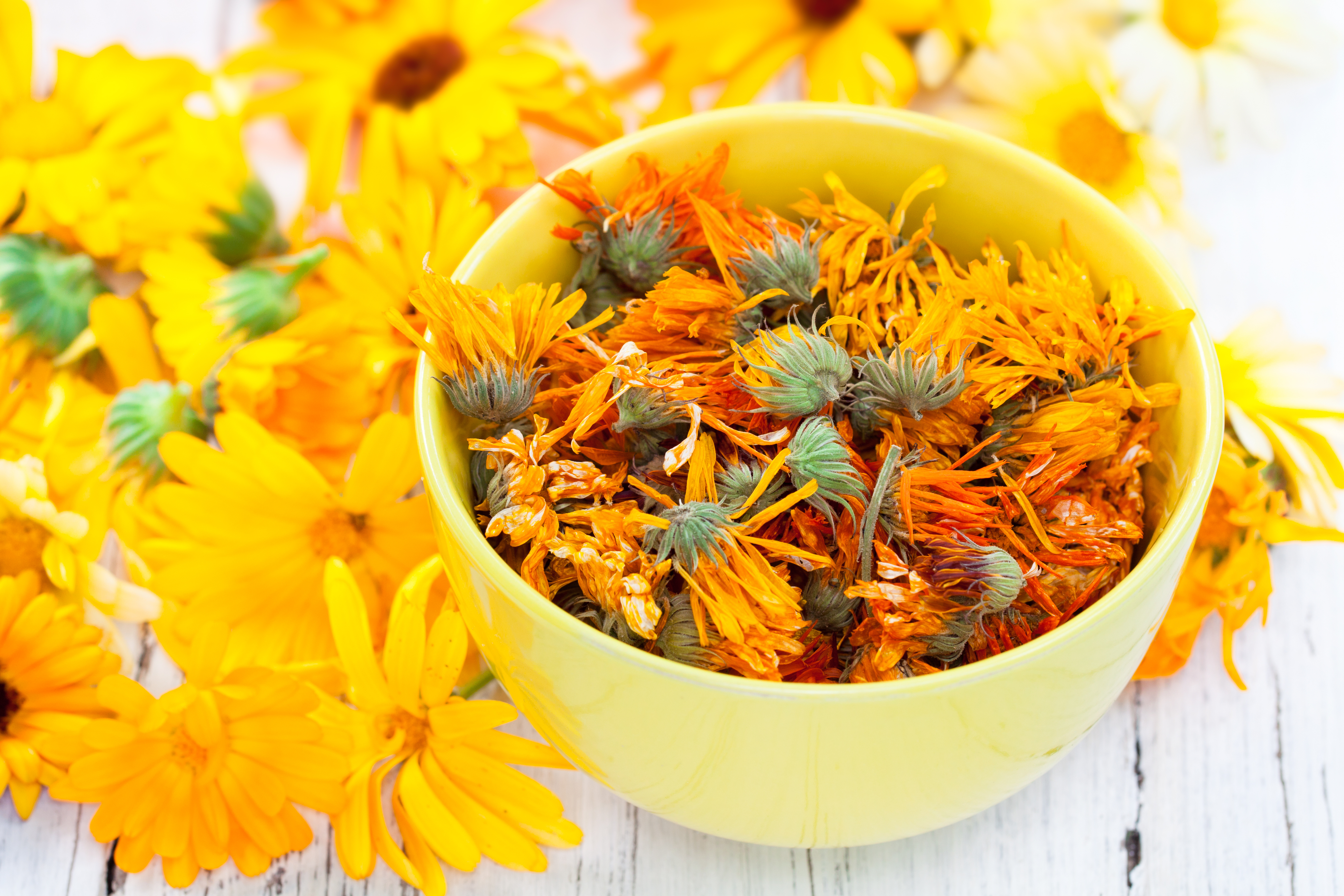 Calendula Kimberton Whole Foods