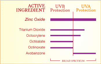 Sunscreen Kimberton Whole Foods