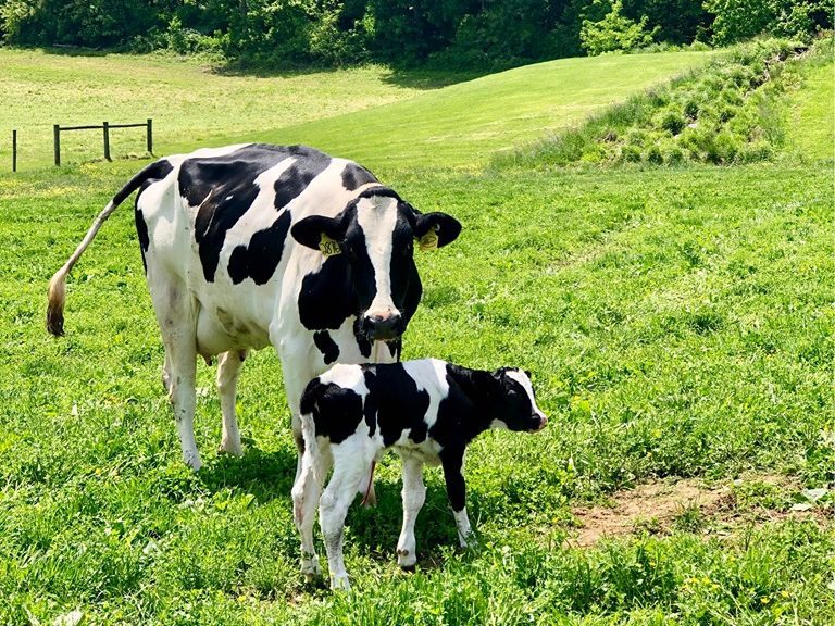 South Mountain Creamery, Middletown, MD – 105 Miles